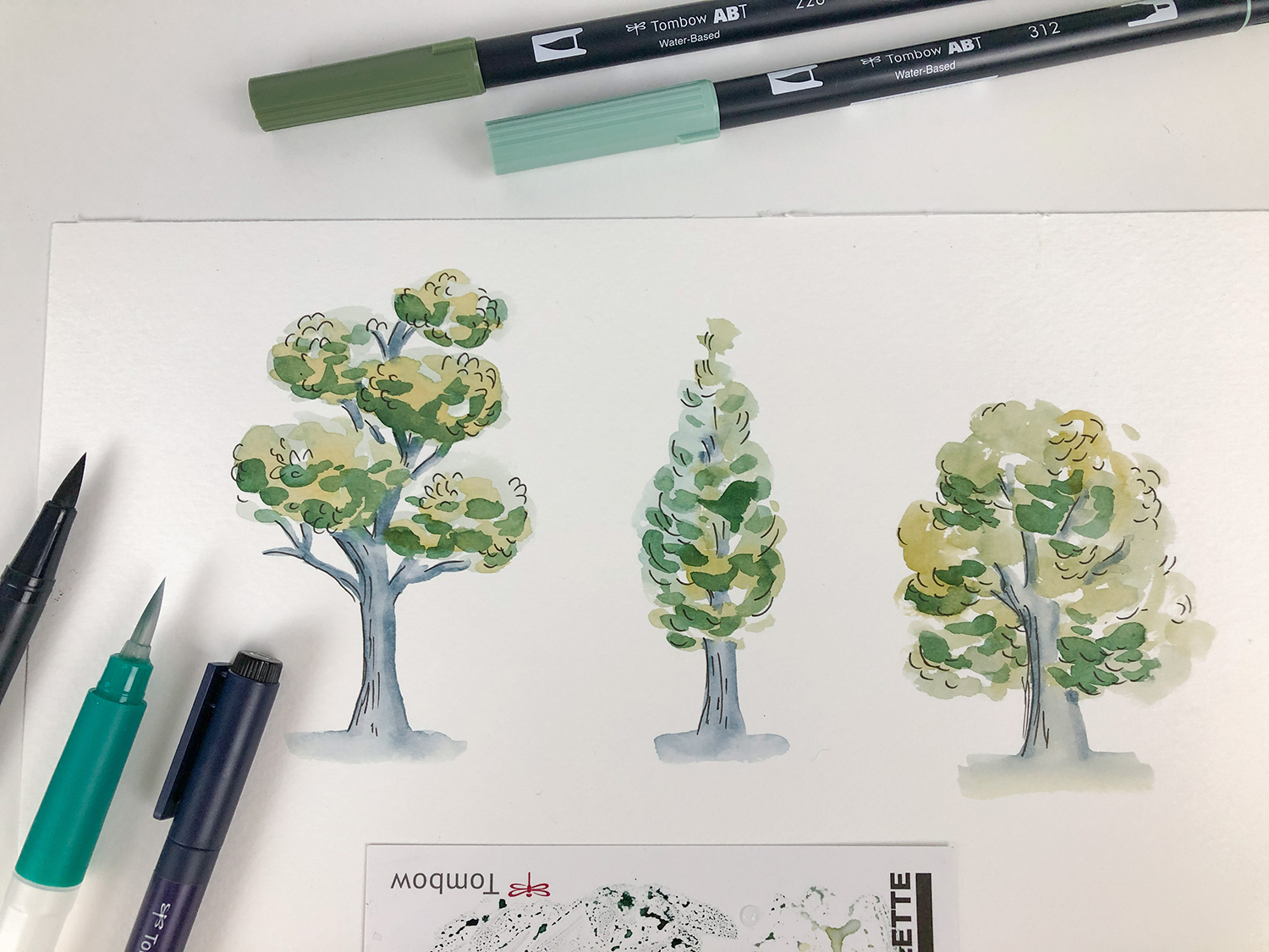Paint A Tree In A Loose Watercoloring Style Tombow