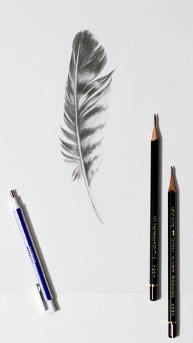Sketch a feather