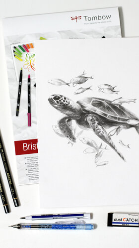 Wasserschildkröte zeichnen