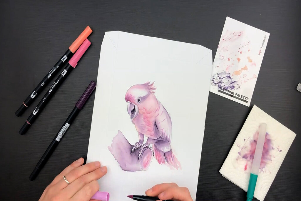 Tombow Europe Paint a cockatoo with the Watercolouring Canvas Set Tombow