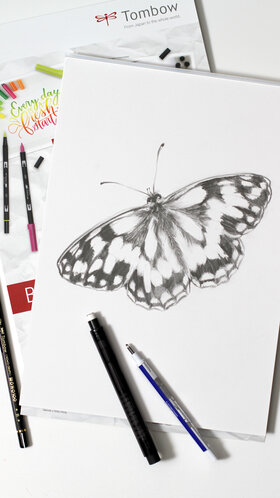 Schmetterling zeichnen - detailgetreu