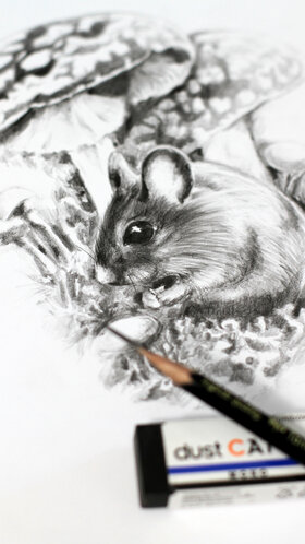 Draw a Mouse