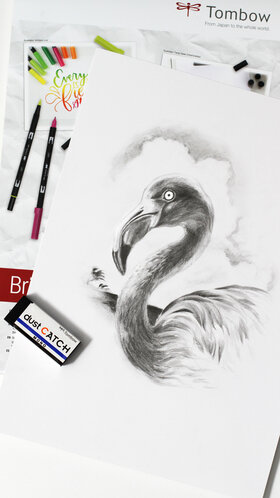 Dessiner un flamant rose