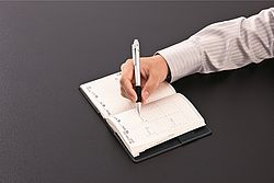 ZOOM L102 multifunctionele pen goud