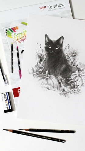 Draw a Black Cat