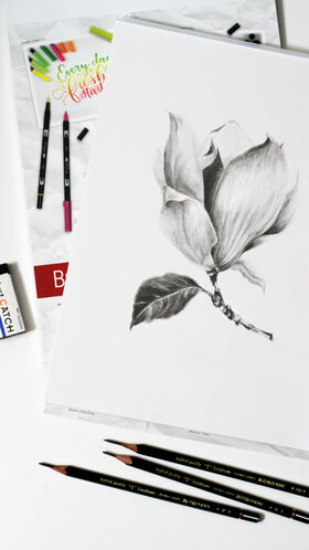 Magnolie zeichnen